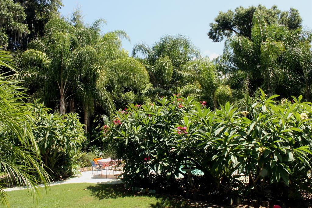 Heron Cay Lakeview Bed & Breakfast Mount Dora Ngoại thất bức ảnh