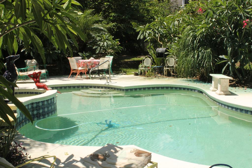 Heron Cay Lakeview Bed & Breakfast Mount Dora Ngoại thất bức ảnh