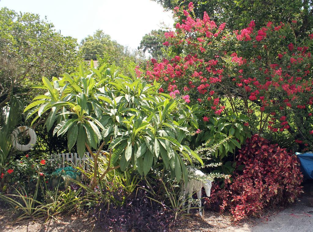 Heron Cay Lakeview Bed & Breakfast Mount Dora Ngoại thất bức ảnh