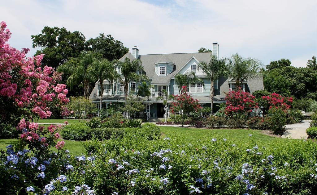 Heron Cay Lakeview Bed & Breakfast Mount Dora Ngoại thất bức ảnh